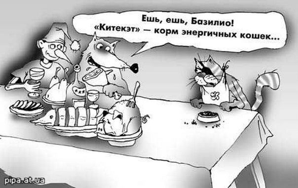 Ешь, ешь, Базилио! «Китекэт» – корм энергичных кошек...