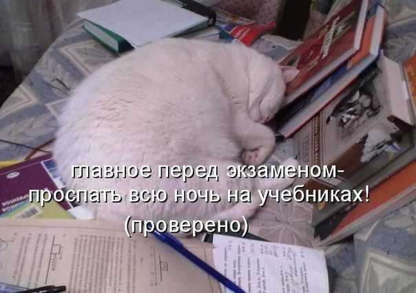 главное перед экзаменом- проспать всю ночь на учебниках! (проверено)