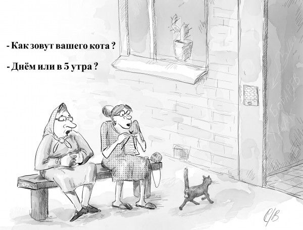 - Как зовут вашего кота ?
- Днём или в 5 утра ?