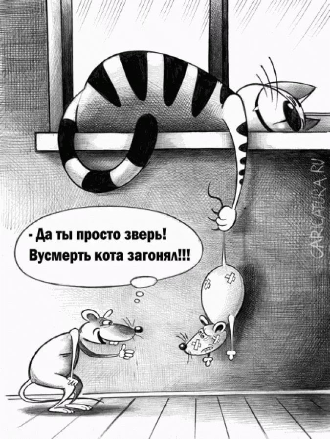 - Да ты просто зверь! Вусмерть кота загонял!!!