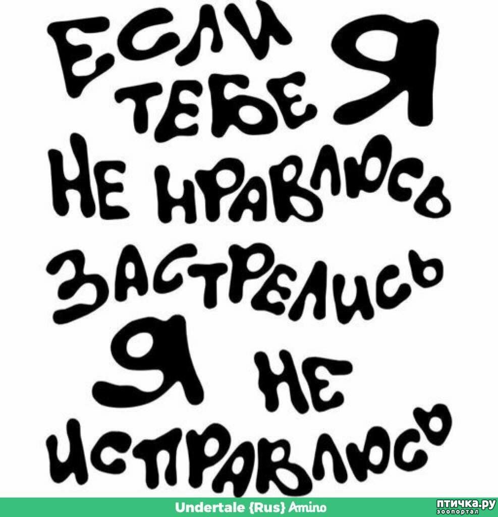 Есli тебе Я не нравлюсь, застрелись Я не исправлюсь