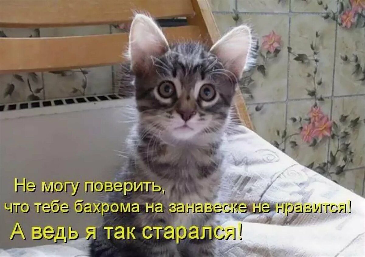 Не могу поверить, что тебе бахрома на занавеске не нравится! А ведь я так старался!