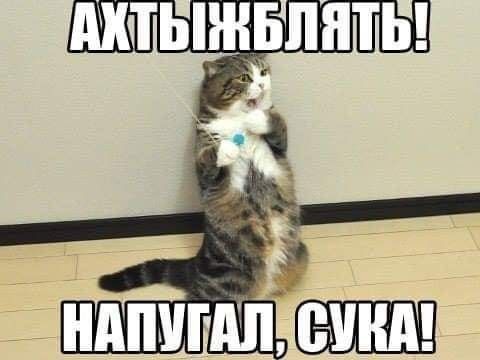 АХТЫЖБЛЯТЬ! НАПУГАЛ, СУКА!