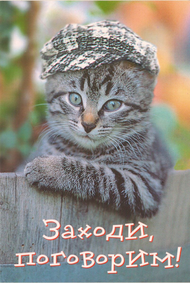 Заходи, поговорим!