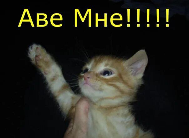 Авe Мнe!!!!!