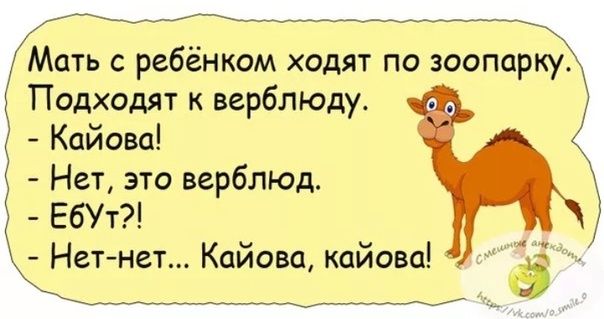 Мать с ребёнком ходят по зоопарку. Подходят к верблюду. - Кайова! - Нет, это верблюд. - Ебут?! - Нет-нет... Кайова, кайова!