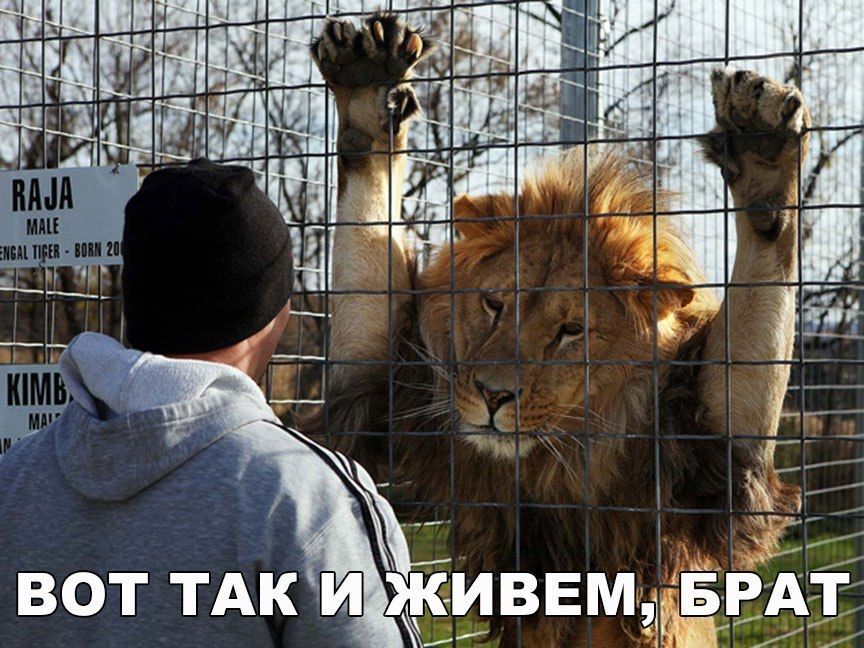 ВOT ТАК И ЖИВЕМ, БРAT