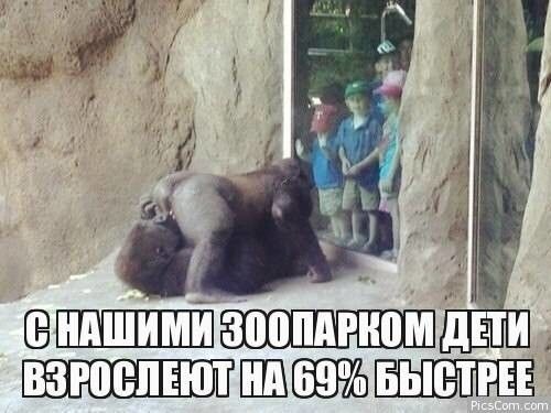 С НАШИМИ ЗООПАРКОМ ДЕТИ ВЗРОСЛЕТ НА 69% БЫСТРЕЕ