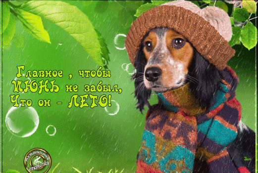 Главное, чтобы июнь не забыл, что он - ЛЕТО!