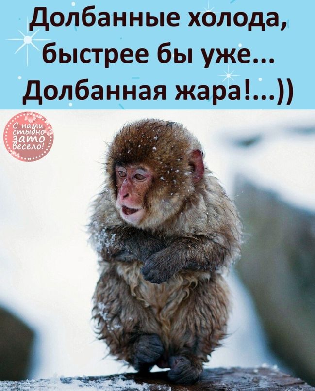 Долбанные холода, быстрее бы уже... Долбанная жара!...))