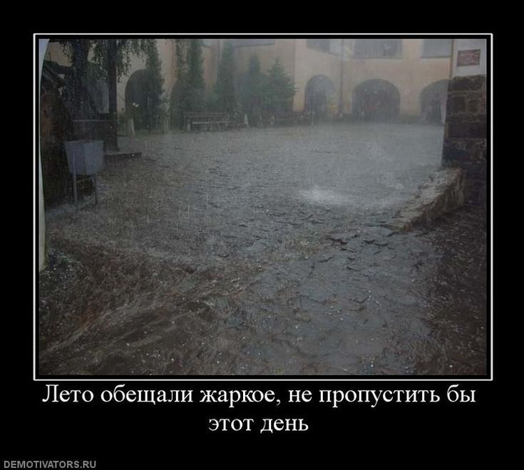 Лето обещали жаркое, не пропустить бы этот день