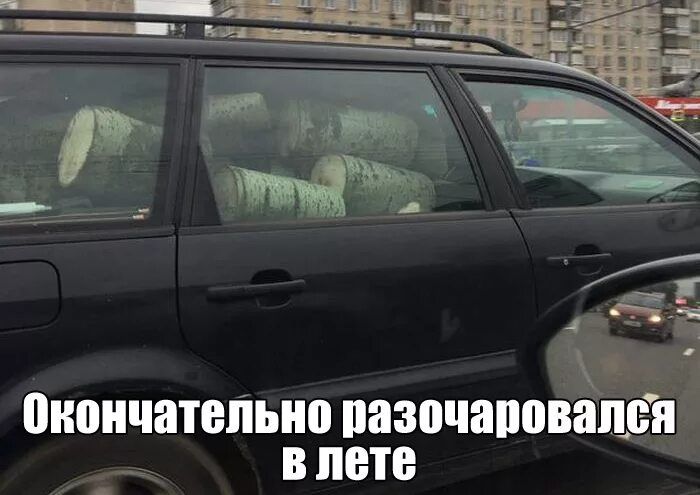 Окончательно разочаровался в лете