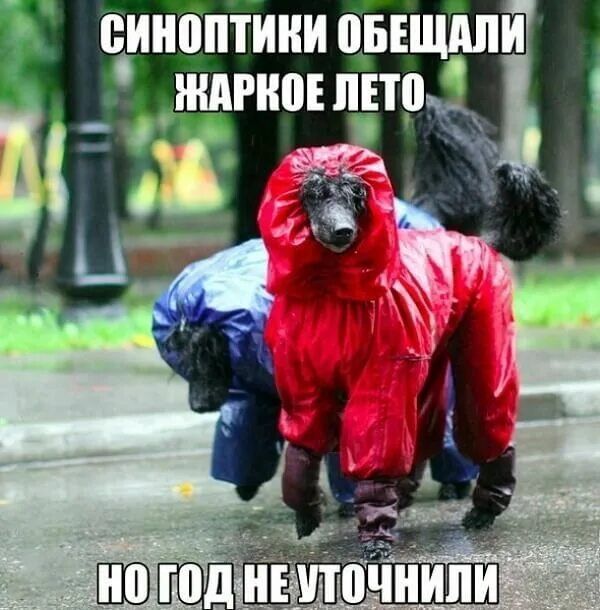 СИНОпТИКИ ОБЕЩАЛИ ЖАРКОЕ ЛЕТО НО ГОД НЕ УТОЧНИЛИ