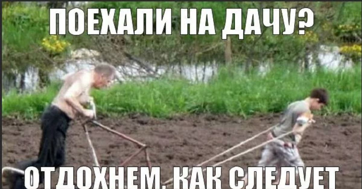ПОЕХАЛИ НА ДАЧУ? ОТДОХНЕМ, КАК СЛЕДУЕТ