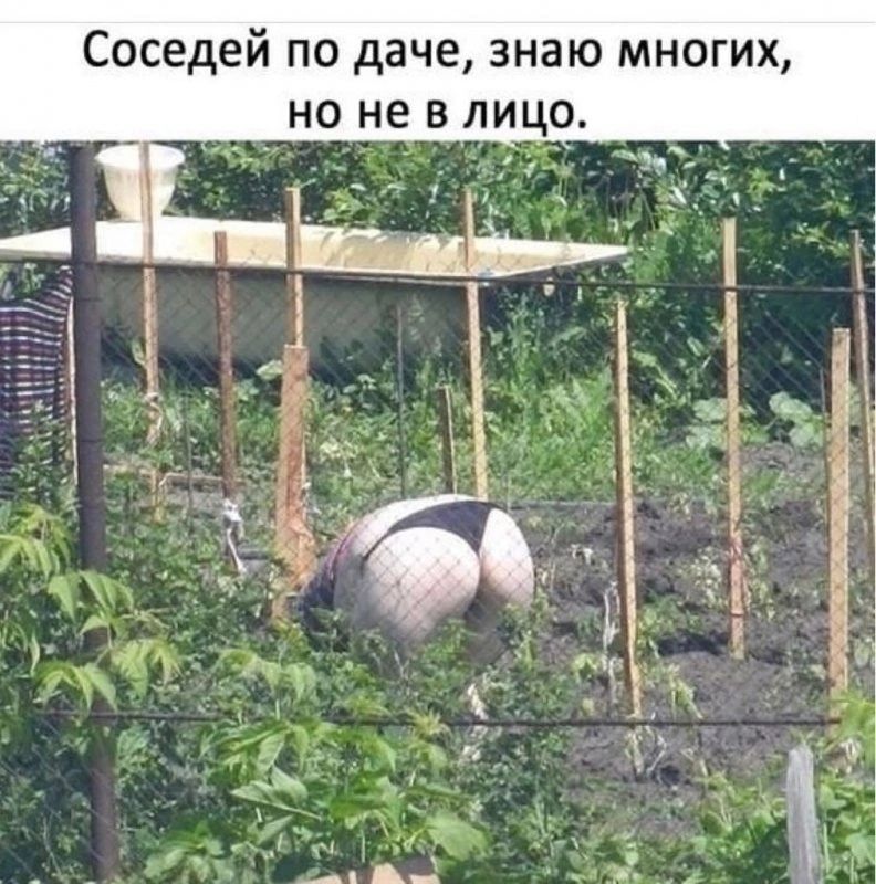 Соседей по даче, знаю многих, но не в лицо.