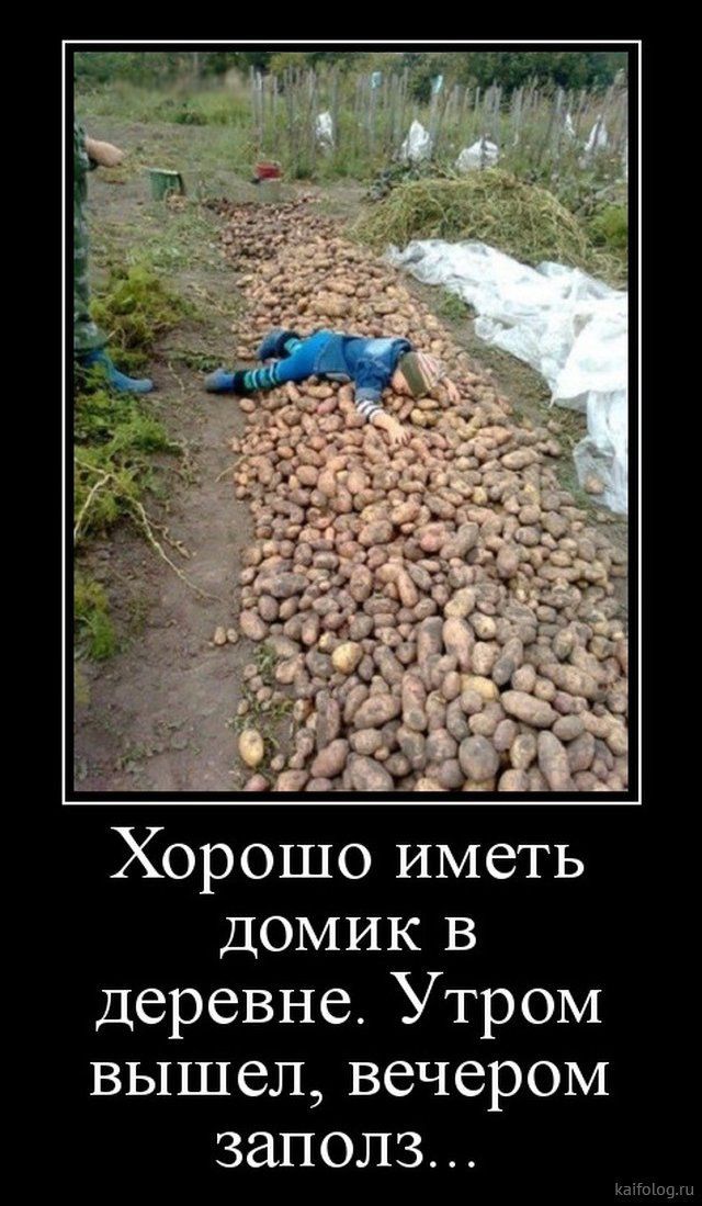 Хорошо иметь домик в деревне. Утром вышел, вечером заполз...