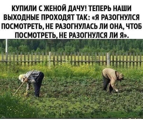 КУПИЛИ С ЖЕНОЙ ДАЧУ! ТЕПЕРЬ НАШИ ВЫХОДНЫЕ ПРОХОДЯТ ТАК: «Я РАЗОГНУЛСЯ ПОСМОТРЕТЬ, НЕ РАЗОГНУЛАСЬ ЛИ ОНА, ЧТОБ ПОСМОТРЕТЬ, НЕ РАЗОГНУЛСЯ ЛИ Я».