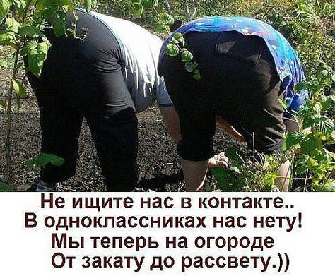 Не ищите нас в контакте.. В одноклассниках нас нету! Мы теперь на огороде От заката до рассвету.))