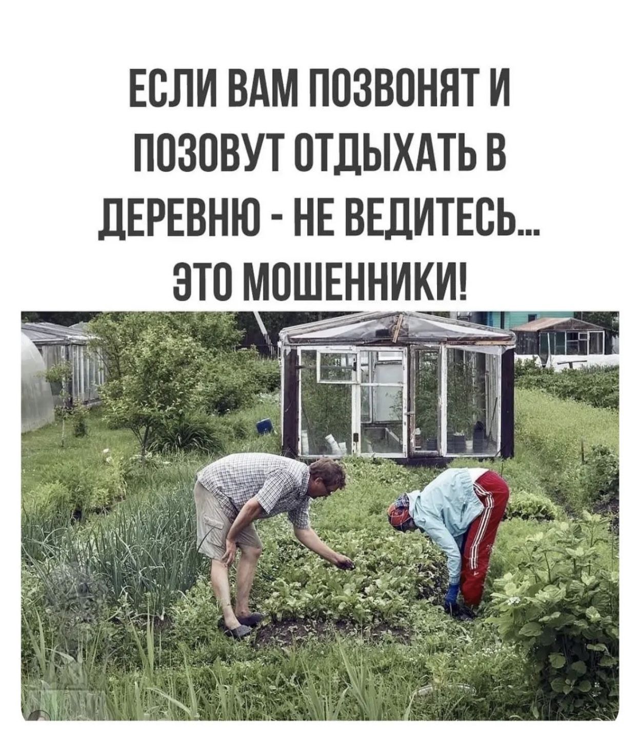 ЕСЛИ ВАМ ПОЗВОНЯТ И ПОЗОВУТ ОТДЫХАТЬ В ДЕРЕВНЮ - НЕ ВЕДИТЕСЬ... ЭТО МОШЕННИКИ!