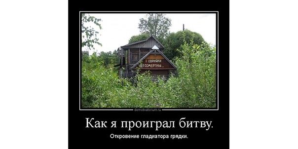 Как я проиграл битву.
Откровение гладиатора грядий.