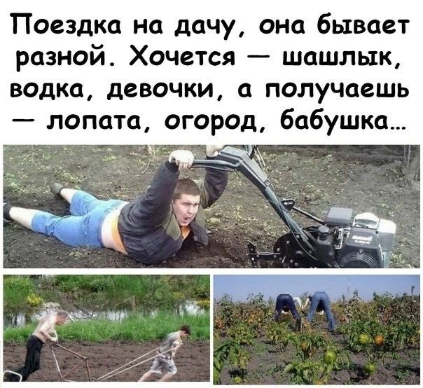 Поездка на дачу, она бывает разной. Хочется — шашлык, водка, девочки, а получаешь — лопата, огород, бабушка...