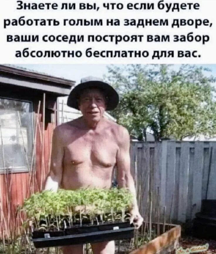Знаете ли вы, что если будете работать голым на заднем дворе, ваши соседи построят вам забор абсолютно бесплатно для вас.