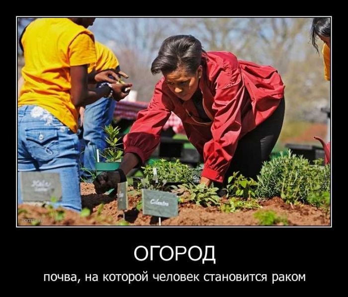 ОГОРОД
почва, на которой человек становится раком