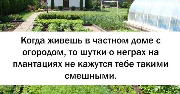 Когда живешь в частном доме с огородом, то шутки о неграх на плантациях не кажутся тебе такими смешными.