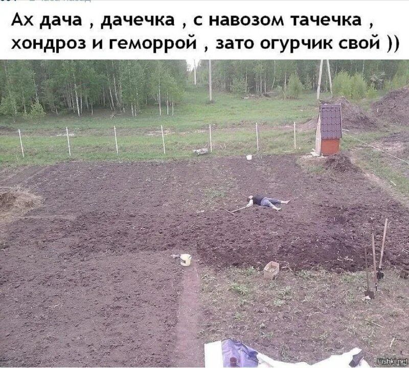 Ах дача, дачечка, с навозом тачечка, хондроз и геморрой, зато огурчик свой ))