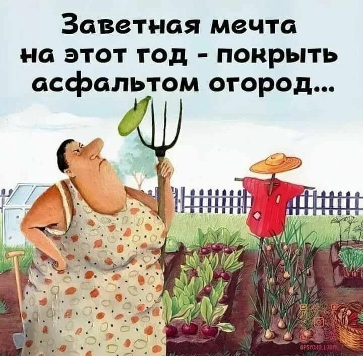 Заветная мечта на этот год - покрыть асфальтом огород...