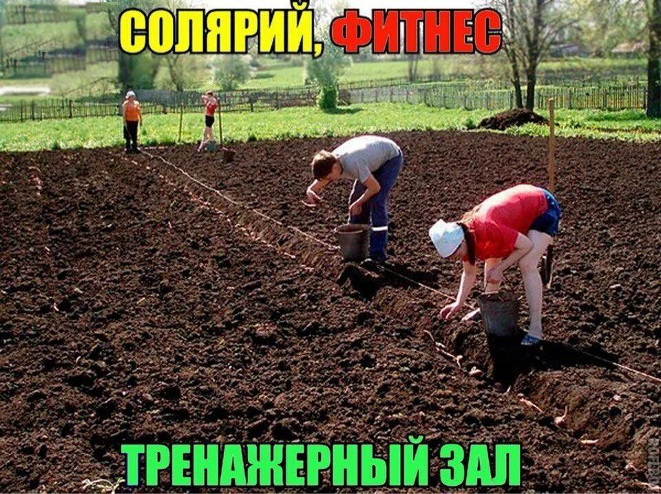 СОЛЯРИЙ, ФИТНЕС ТРЕНАЖЕРНЫЙ ЗАЛ
