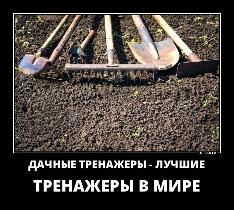 ДАЧНЫЕ ТРЕНАЖЕРЫ - ЛУЧШИЕ ТРЕНАЖЕРЫ В МИРЕ