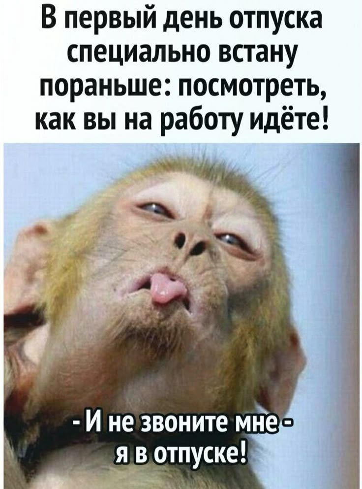 В первый день отпуска специально встану пораньше: посмотреть, как вы на работу идёте!
- И не звоните мне - я в отпуске!