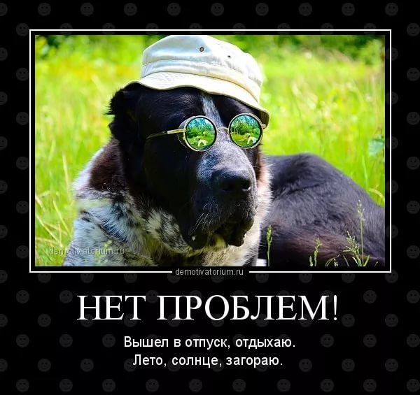 НЕТ ПРОБЛЕМ!
Вышел в отпуск, отдыхаю.
Лето, солнце, загораю.