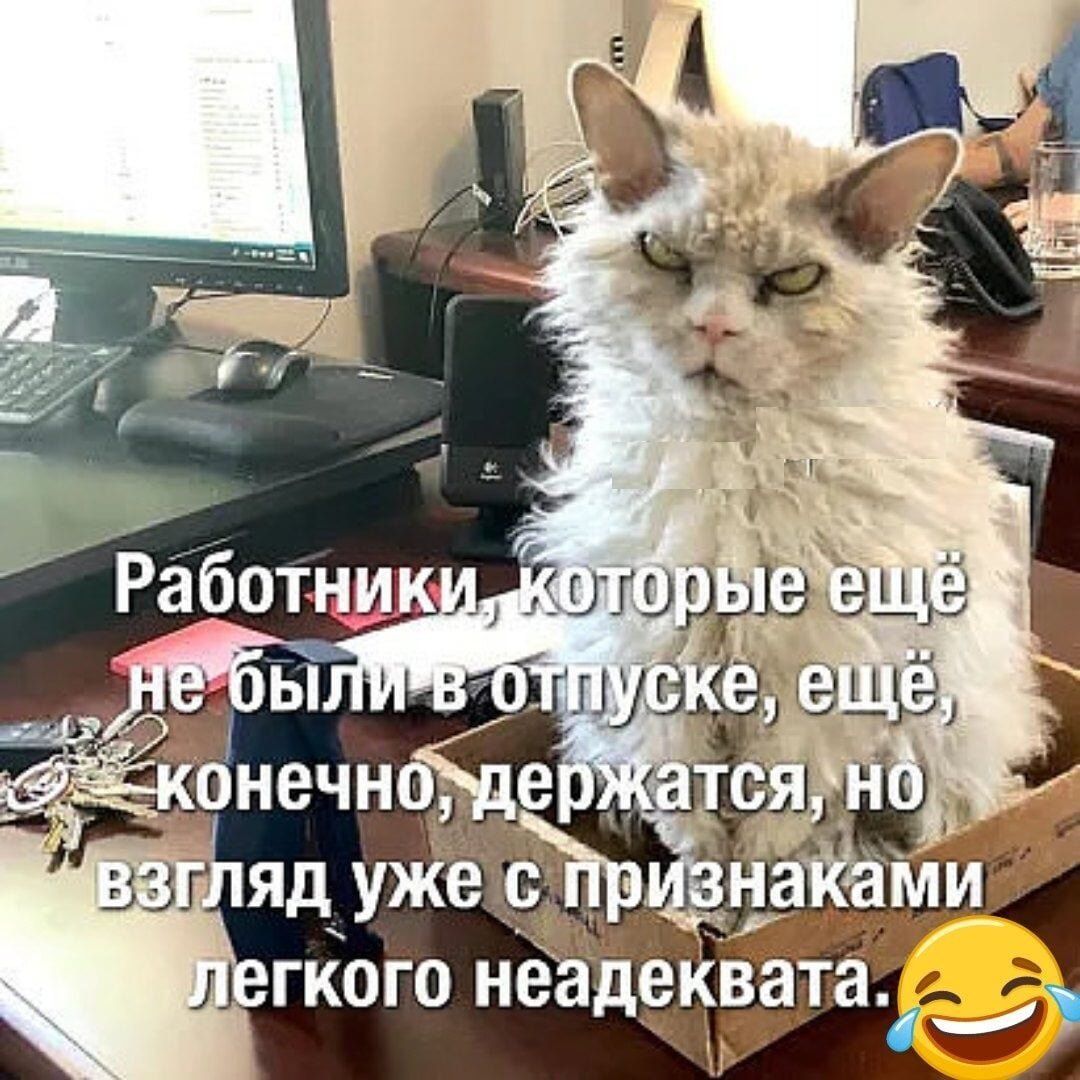 Работники, которые ещё не были в отпуске, ещё, конечно, держатся, но взгляд уже с признаками лёгкого неадеквата.