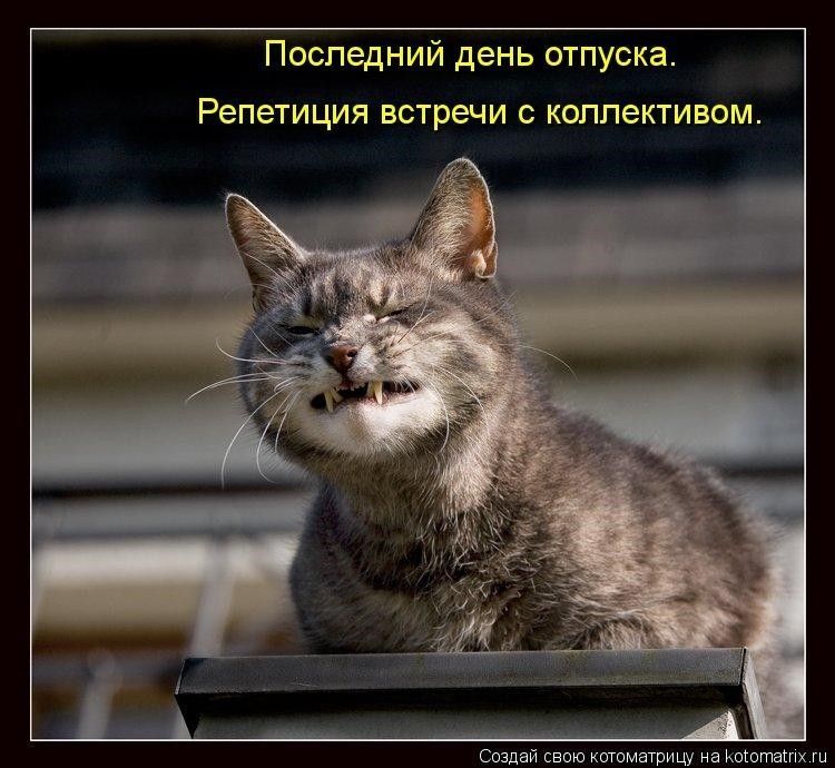 Последний день отпуска.
Репетиция встречи с коллективом.