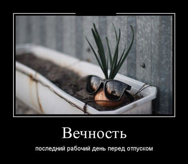 Вечность
последний рабочий день перед отпуском