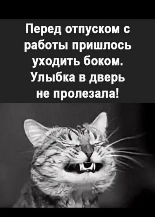 Перед отпуском с работы пришлось уходить боком. Улыбка в дверь не пролезала!