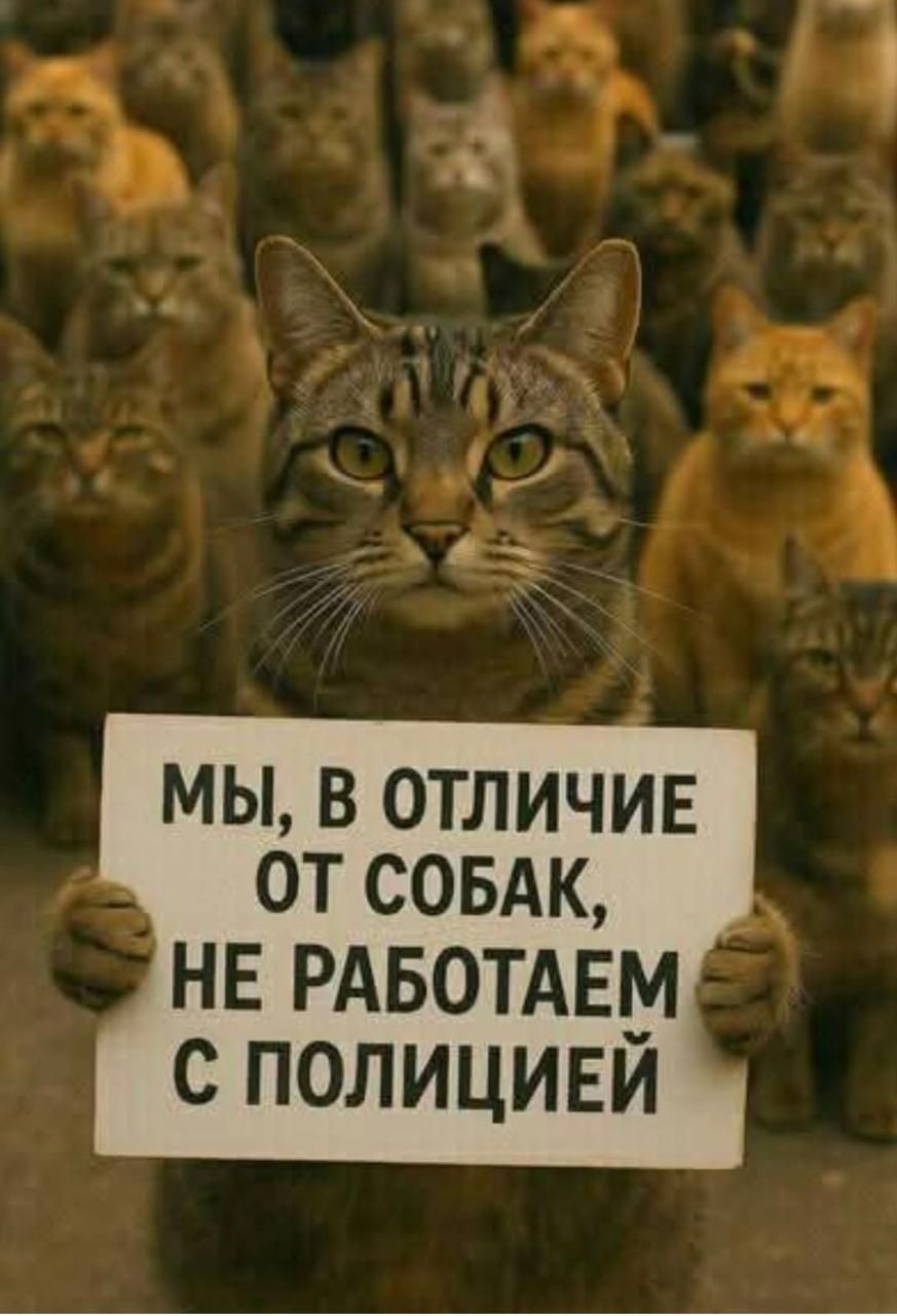 МЫ, В ОТЛИЧИЕ ОТ СОБАК, НЕ РАБОТАЕМ С ПОЛИЦИЕЙ