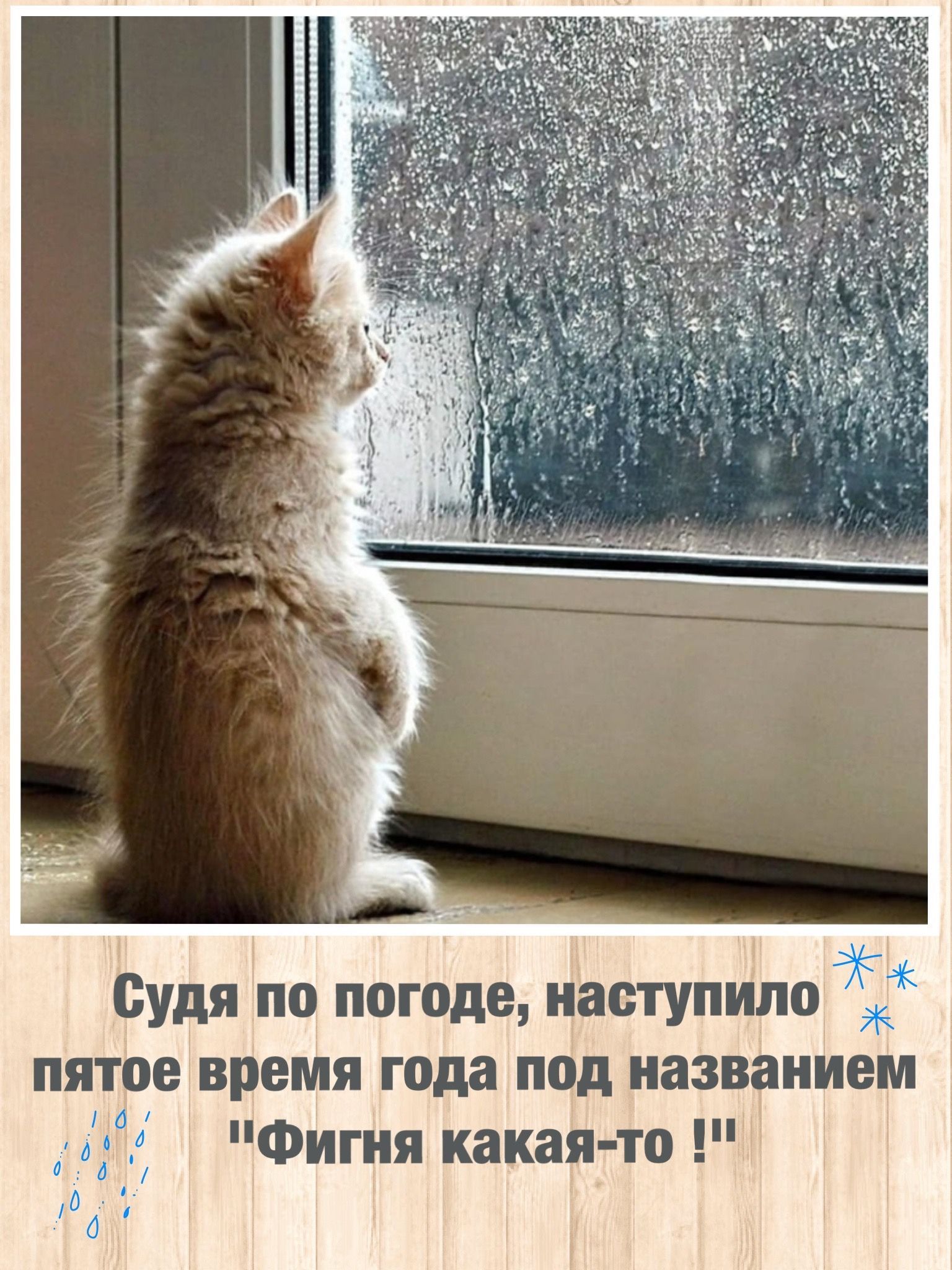 Судя по погоде, наступило пятое время года под названием 