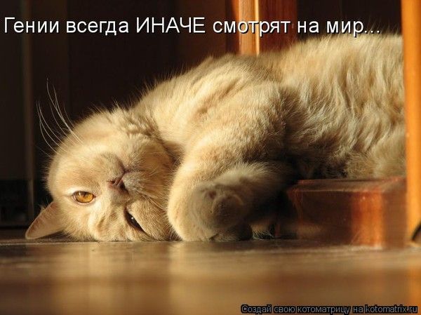 Гении всегда ИНАЧЕ смотрят на мир...