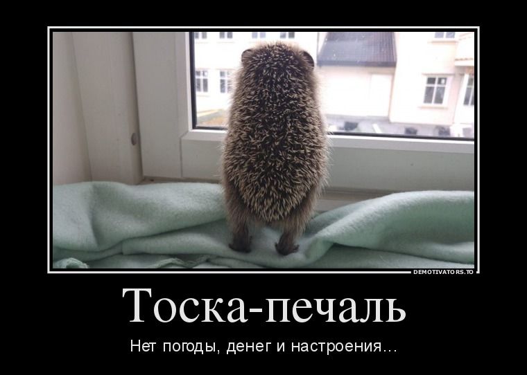 Тоска-печаль
Нет погоды, денег и настроения...