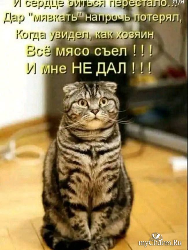 И сердце биться перестало. Я