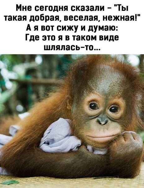 Мне сегодня сказали – 