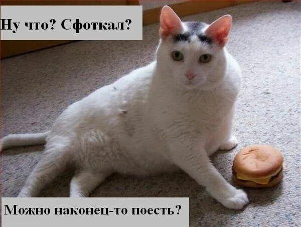 Ну что? Сфоткал? Можно наконец-то поесть?