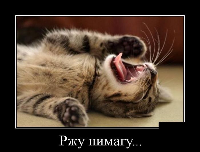 Ржу нимагу...