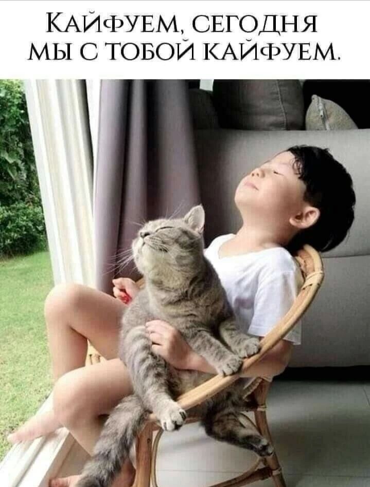 КАЙФУЕМ, СЕГОДНЯ МЫ С ТОВОЙ КАЙФУЕМ.
