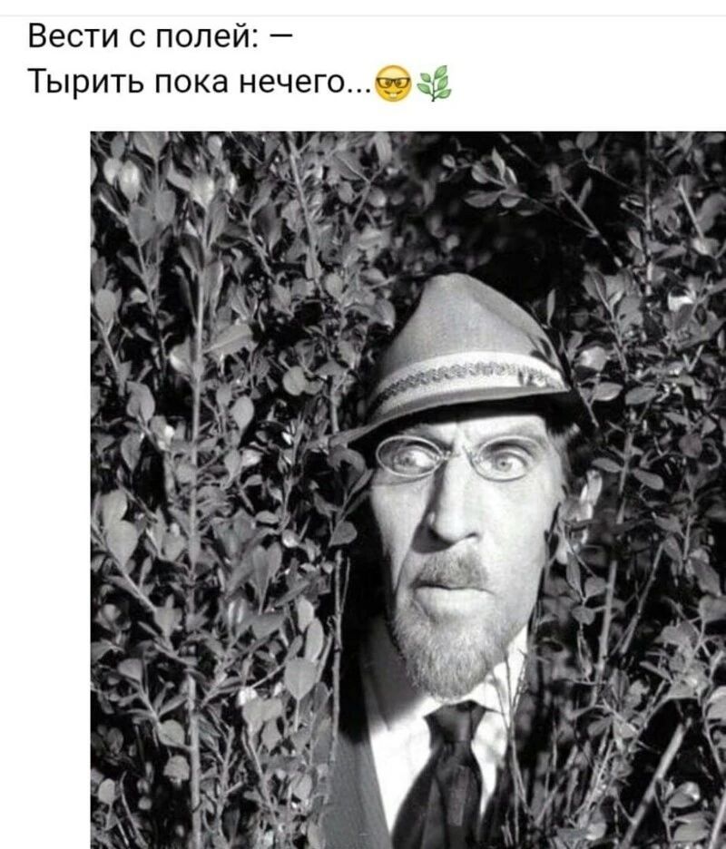 Вести с полей: — Тырить пока нечего...