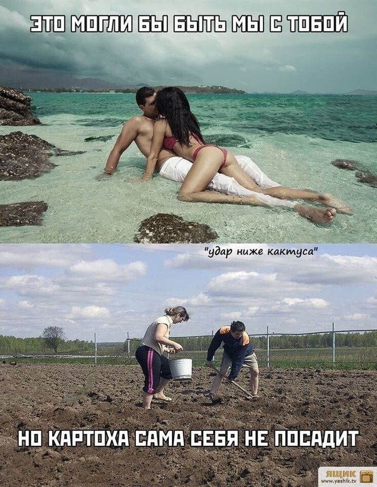 Это могли бы быть мы с тобой
