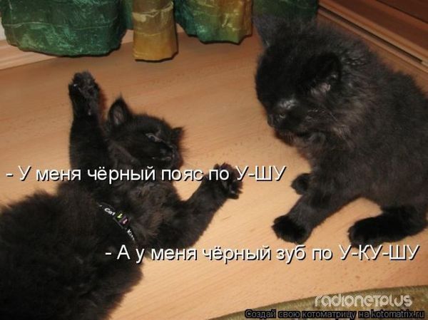- У меня чёрный пояс по У-ШУ
- А у меня чёрный зуб по У-КУ-ШУ